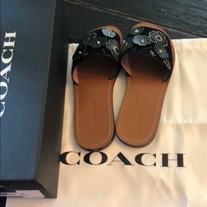 Black coach tea rose slides